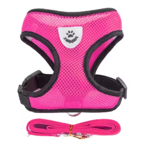 Pet Harness and Leash Set, Soft, Adjustable, and Escape-Proof.  Size: Small