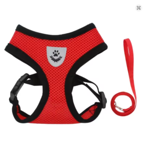 Pet Harness and Leash Set, Soft, Adjustable, and Escape-Proof.  Size: Small