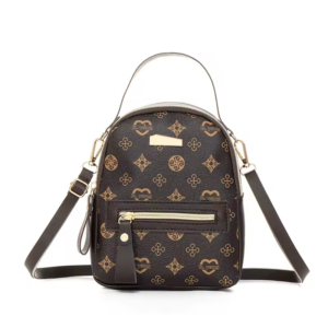 Women's handbag, fashionable backpack, cool and cute school bag for students.