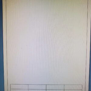 Integrated Label Rx 8 Labels 2x1/2 Bottom 250 Sheets Pharmacy Mailing 8.5x11