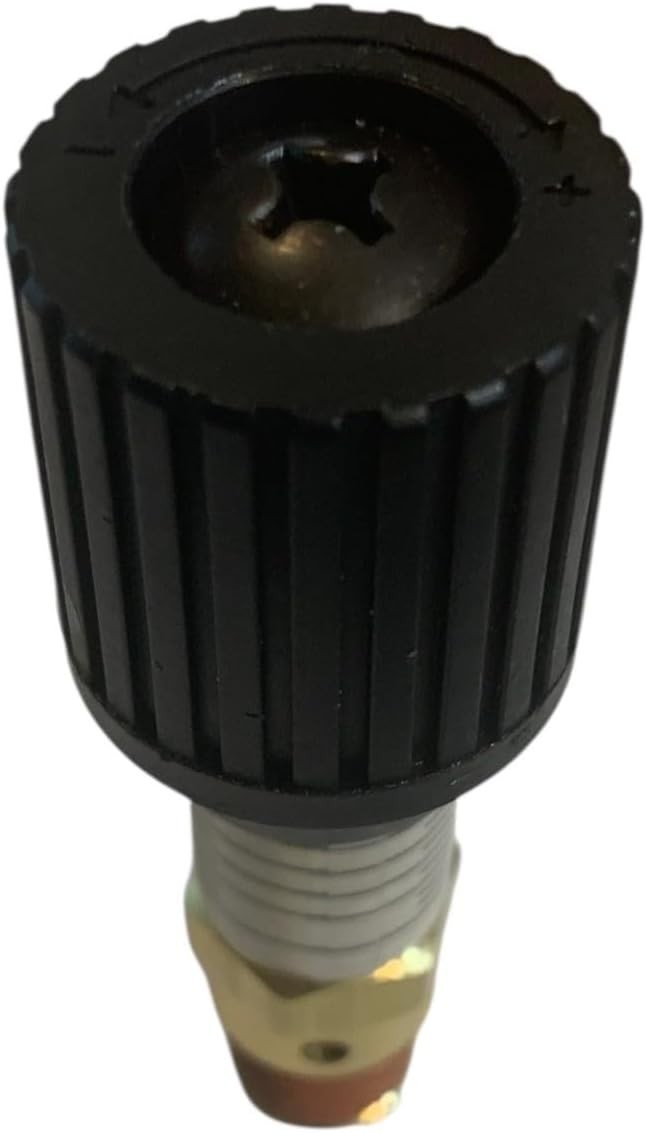 1/4" NPT Brass Pressure Relief Valve 0-100 PSI Adjustable CR25-100 PC-25 USA