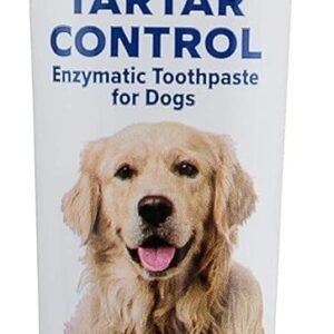 ARM & HAMMER Pets Tartar Control Enzymatic Toothpaste for Dogs Beef Fresh Breath