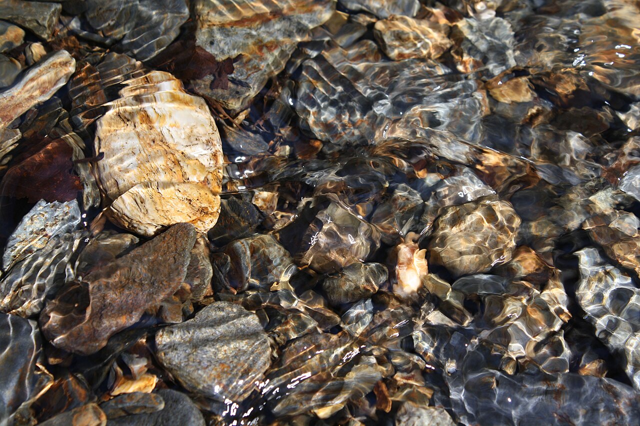 Brown, gray and tan stones visible beneath rippling shallow water in Alum Cave Creek.