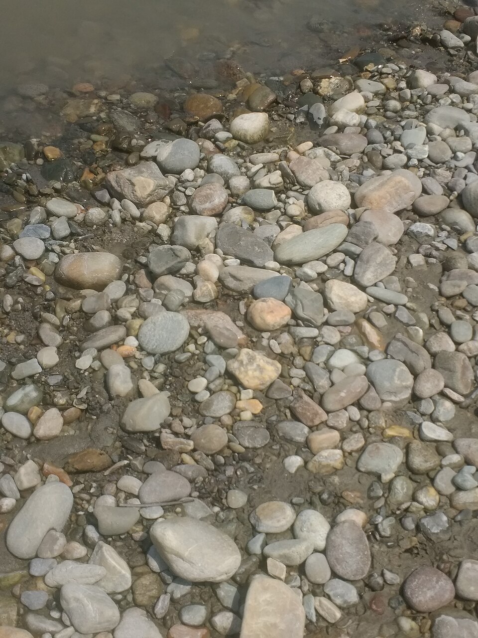 Riverbank stones of different sizes, with rounded, flat and more angular outlines beside shallow water.