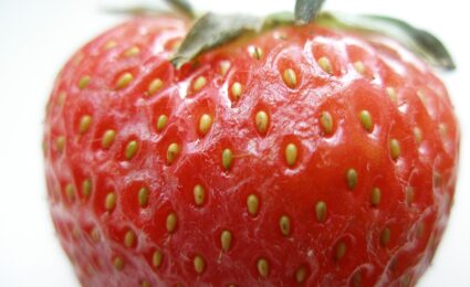 Close-up of a red strawberry with pale achenes set into dimples on its surface.