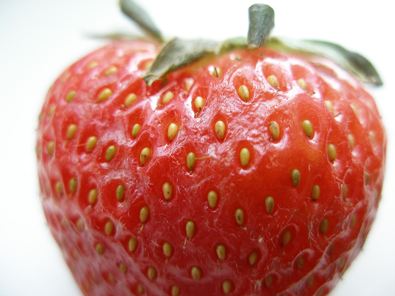 Close-up of a red strawberry with pale achenes set into dimples on its surface.